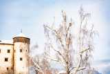 winter wonderland in the dolomites-2