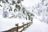 winter wonderland in the dolomites-1