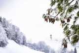 winter wonderland in the dolomites-1