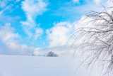 winter wonderland in the dolomites-1