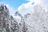 winter wonderland in the dolomites-1